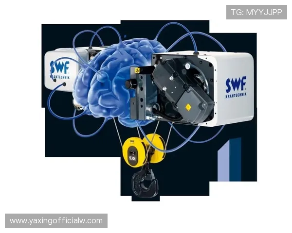 亚星智能官方网站首页提供的客户案例与成功经验分享助力行业发展